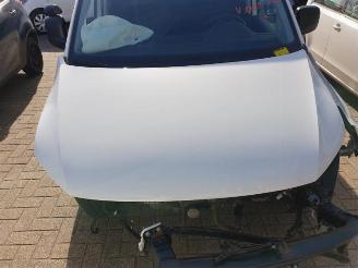 Volkswagen Caddy Caddy IV, Van, 2015 1.4 TGI BlueMotion picture 7