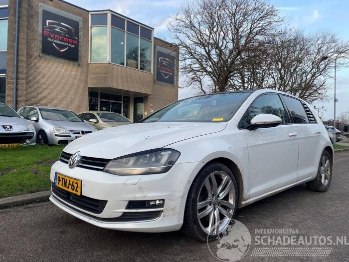Volkswagen Golf Golf VII (AUA), Hatchback, 2012 / 2021 1.4 TSI 16V