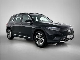 Mercedes EQB EQB (X243), SUV, 2021 250+ 71 kWh picture 7