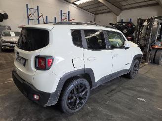 Jeep Renegade  picture 8