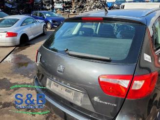 Seat Ibiza Ibiza ST (6J8), Combi, 2010 / 2016 1.2 TDI Ecomotive picture 20