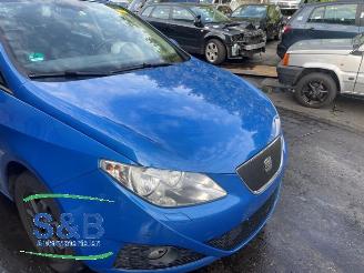 Seat Ibiza Ibiza ST (6J8), Combi, 2010 / 2016 1.2 TDI Ecomotive picture 27