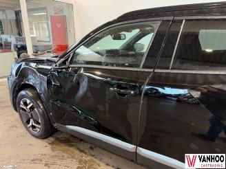 Peugeot 2008  picture 14