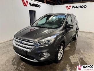 Ford Kuga  picture 1