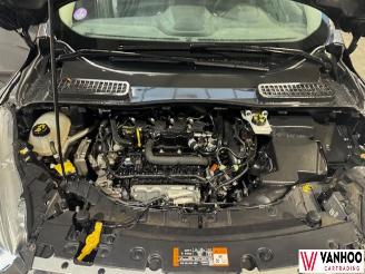 Ford Kuga  picture 10