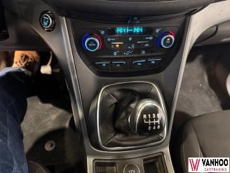 Ford Kuga  picture 20