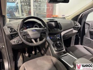 Ford Kuga  picture 15