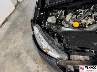 Dacia Dokker  picture 15