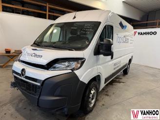 Auto incidentate Opel Movano  2024/11