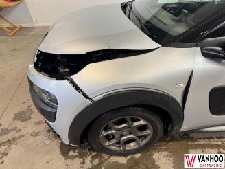 Citroën C4 CACTUS picture 2