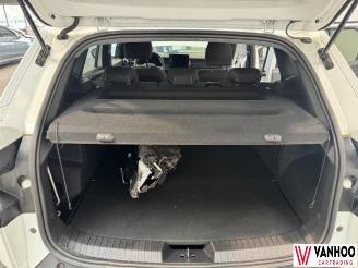 Dacia Duster  picture 11