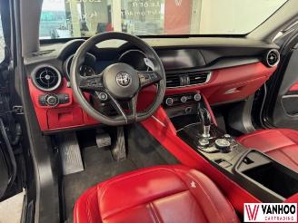 Alfa Romeo Stelvio  picture 19