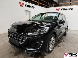 skadebil auto Ford Kuga  2021/1