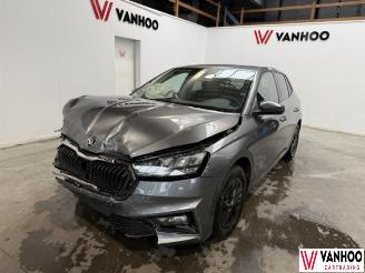 Skoda Fabia  picture 1