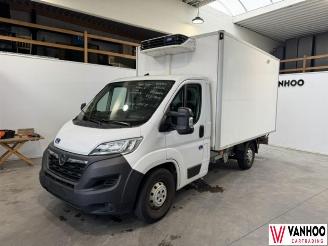 Opel Movano  picture 1