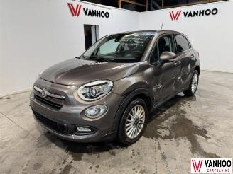 Fiat 500X  picture 1