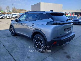 Peugeot 2008  picture 4