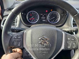 Suzuki SX4 S-CROSS picture 10