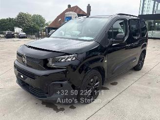 Citroën Berlingo MULTISPACE picture 3