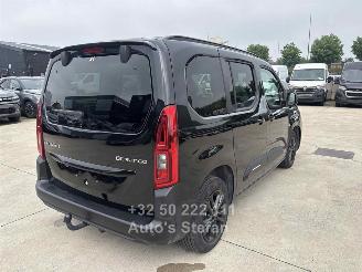 Citroën Berlingo MULTISPACE picture 6