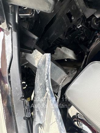 Citroën Berlingo MULTISPACE picture 18