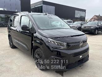 Citroën Berlingo MULTISPACE picture 1