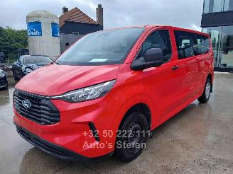 Ford Transit TOURNEO CUSTOM picture 3