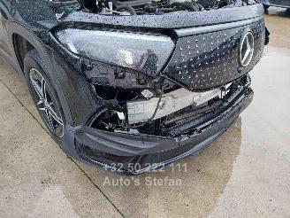 Mercedes EQB 250 + picture 20