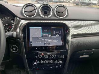 Suzuki Vitara  picture 15