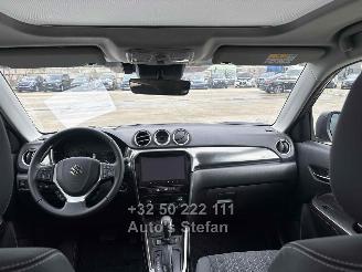 Suzuki Vitara  picture 13