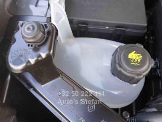 Renault Scenic E-TECH picture 21
