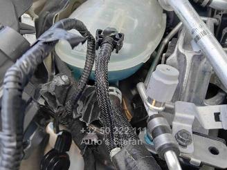 Nissan Juke BUSINESS ACCESS picture 23