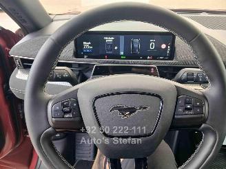 Ford Mustang MACH-E  600PK picture 16