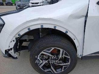 Kia Sportage  picture 30
