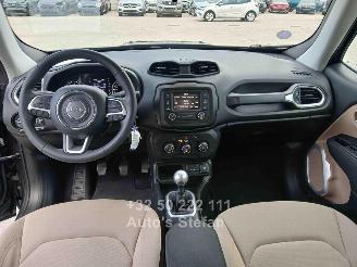 Jeep Renegade LONGITUDE picture 12