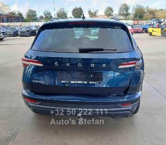 Skoda Karoq AMBITION picture 5