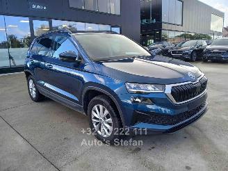 Skoda Karoq AMBITION picture 1