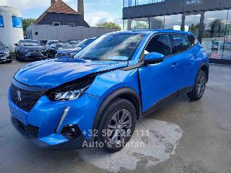 Peugeot 2008 ACTIVE picture 3