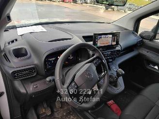 Citroën Berlingo XTR picture 17