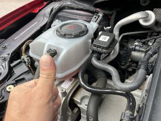 Volkswagen Polo 1.0 TSI 70kW DSG Life picture 8