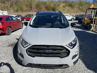 Schadeauto Ford EcoSport Active Navi,Winterpaket,Kamera 2022/4
