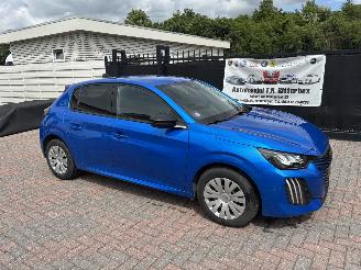 Peugeot 208  picture 1