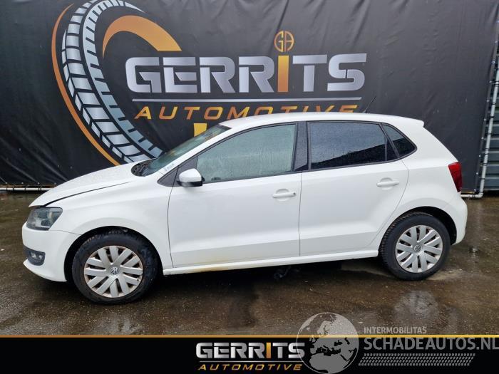 Volkswagen Polo Polo V (6R), Hatchback, 2009 / 2017 1.2 TSI
