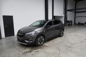 Vaurioauto  passenger cars Opel Grandland SUV 2019/9