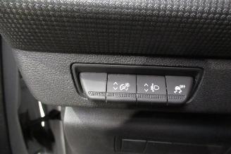 Renault Kangoo CAMIONETTE picture 23