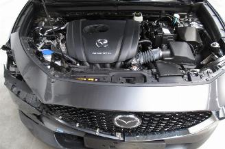 Mazda CX-30 SUV picture 11