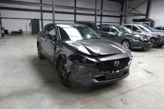 Mazda CX-30 SUV picture 6