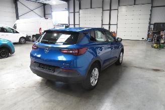 Opel Grandland SUV picture 5