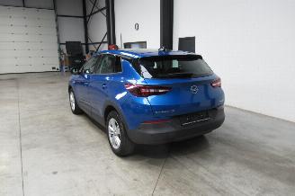 Opel Grandland SUV picture 3