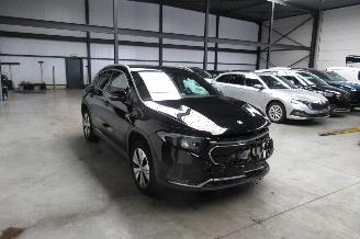 Mercedes EQA 250 picture 6